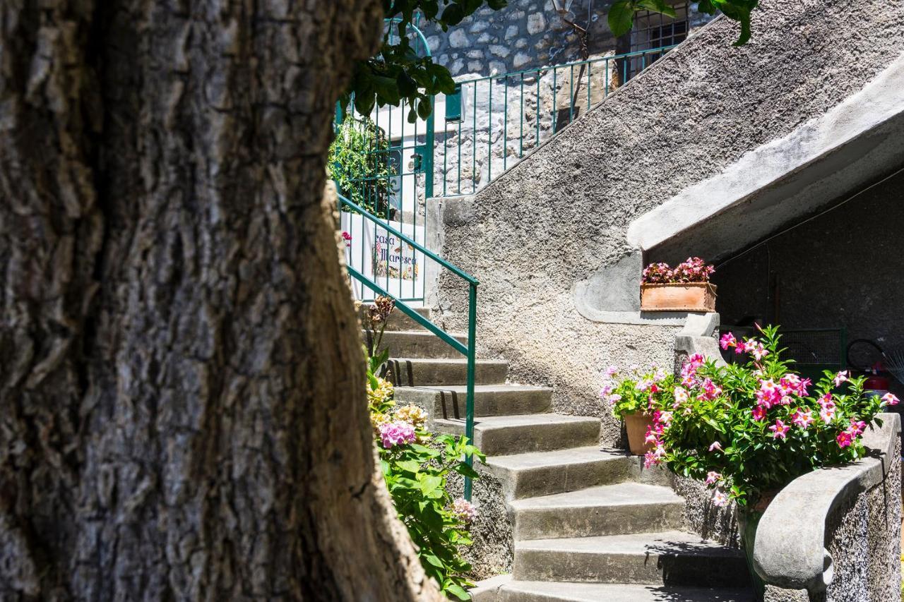 Casa Maresca Residence ポジターノ エクステリア 写真